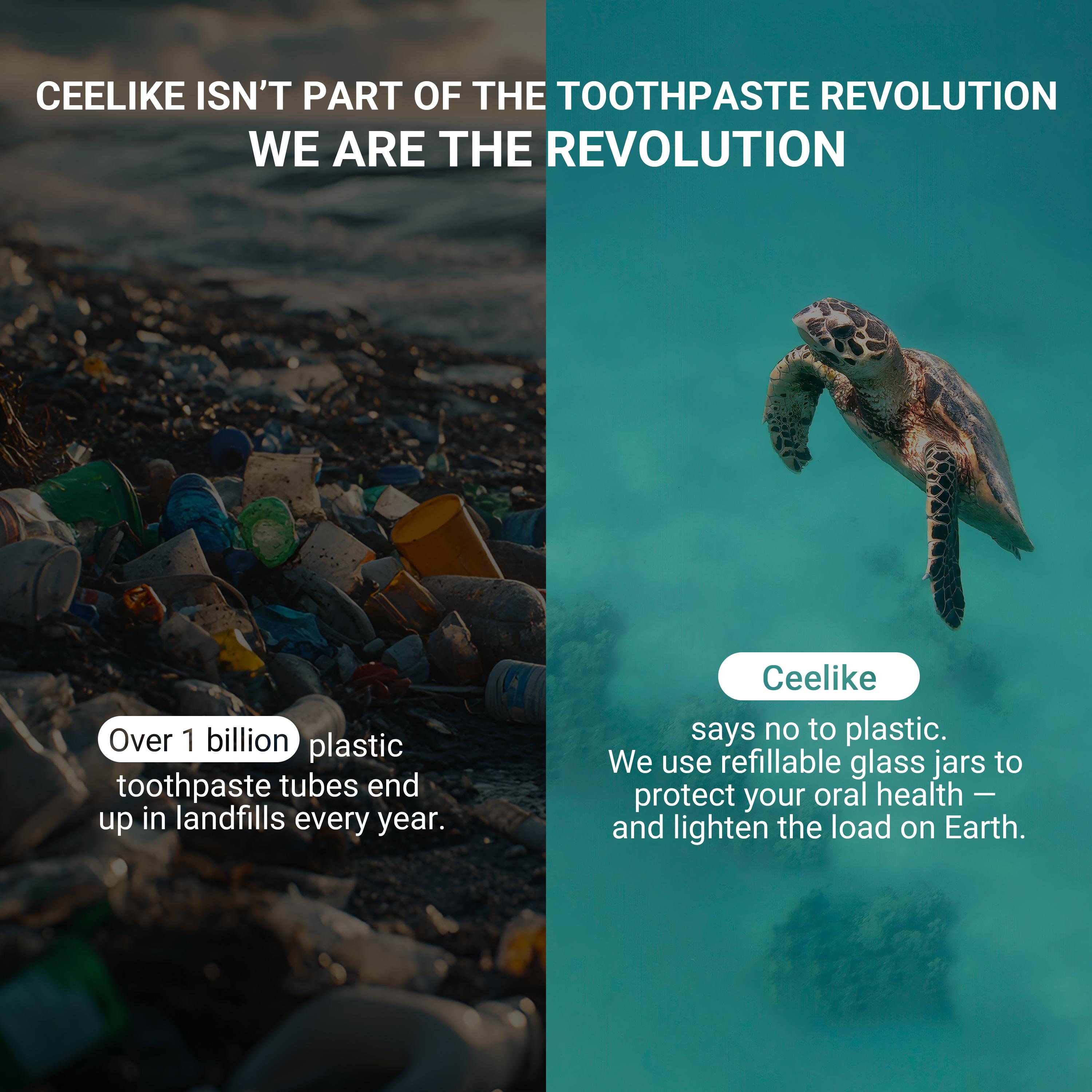 nHAP Solid Toothpaste – Fluoride-Free, Eco-Friendly, Portable, Long-Lasting Fresh Breath | Natural Oral Care
