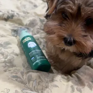 Earth Rated | No-Rinse Dog Shampoo 7 oz - White Tea & Basil Scent, Convenient Waterless Formula for All Coat Types, Refreshing Scent