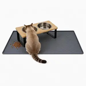 Elevated Cat Bowls with 2 Stainless Steel Bowls ， 10° Tilted Anti-Vomiting Raised Cat Food Bowl for Small Cats and Puppies Pet Bowl with Stand cat Bowls for Indoor Cats Elevated cat Bowls