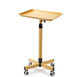 Premium Aluminium Salon Tray, Sturdy Corrosion-Resistant Adjustable Tray is Used for Salon Tray on Wheels, Salon Tool/Colour Tray, Beauty Spa Tray, Dentist Tray, etc.…(Gold)