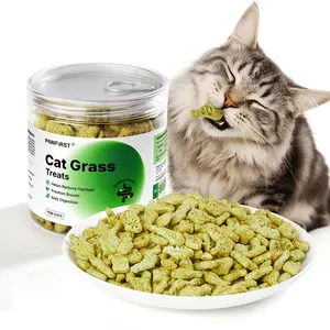 PawFirst Cat Treats Cat Grass for Hairball Control, Low-Temperature Baking Natural Salmon & Catnip Flavor Indoor Kitten Training Biscuits Snacks for Teeth Cleaning XX oz
