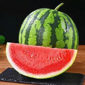 100 watermelon seeds, perfect for beginners. Enjoy juicy, sweet flesh that's refreshingly delicious. Ideal for backyard gardening and outdoor planting—start your sweet feast today.