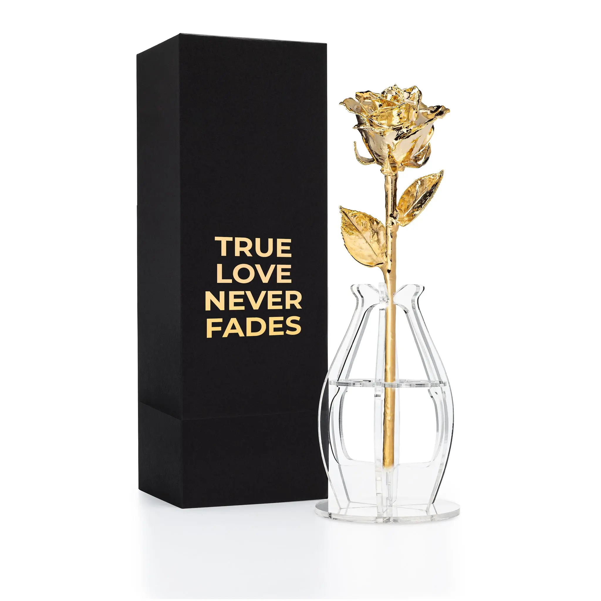 "True Love Never Fades" Personalized 24K Gold Forever Rose Combo with Bloom Box & Phantom Vase™ Combo