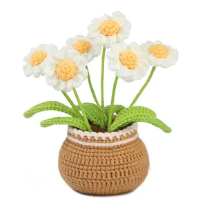 Flowers Crochet Kit for Beginners - DIY Potted Plant Crafts Kit,Craft Knitting Crocheting Kits with Tutorial,Holidays Gift for Home Decoration