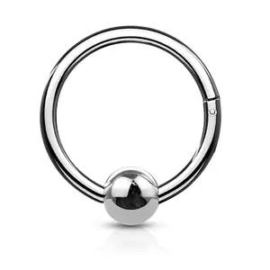 Ball Center Hinged Segment Ring - Stainless Steel