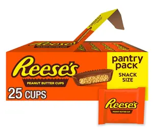 Milk Chocolate Snack Size Peanut Butter Cups, Candy Pantry Pack, 13.75 oz (25 Pieces)