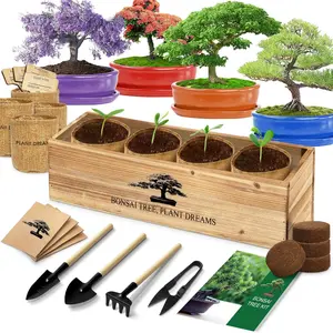Bonsai Tree Kit, Bonsai Starter Kit with Seeds & Tools, Tree Live Plants Indoor, Gardening Gifts for Women Men Mom Father Plant Lover, Birthday Thanksgiving