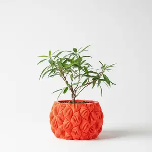 Modern Luxury Sculptural Planter, Minimalist Indoor Pot for Succulents and Home Decor