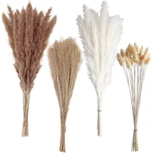 100 COUNT Boho Pampas Grass,Naturally Dried Pompas, Pampas Grass Decor for Wedding,Boho Party Decorations,Table Decor brown and white