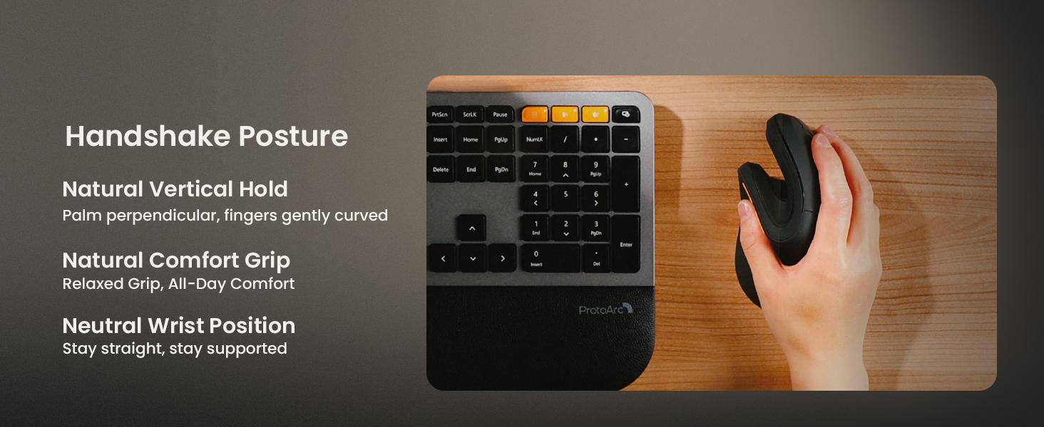 ProtoArc Ergonomic Mouse, EM11 NL Bluetooth Rechargeable Wireless Vertical Mouse, 3 Multi-Device Connectivity for Computer/PC/Laptop, 2.4GHz Optical Mice for Windows, Mac OS