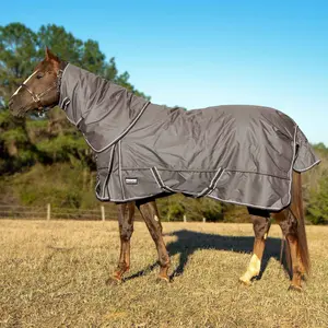 Jeffers Poplar Head "Defense" 1680 Denier Turnout Blanket with Detachable Neck, 360 Gram, Plymouth Brown
