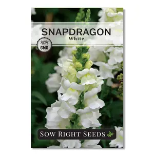 White Snapdragon Seeds