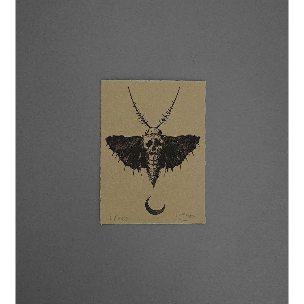 Moth 10  - High-Quality Print