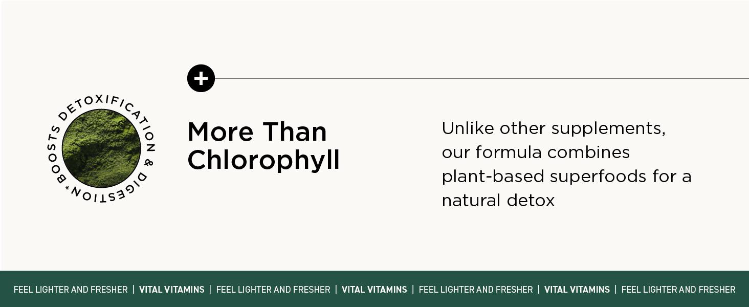 Vital Vitamins Chlorophyll Complex | Detox, Body Odor Control, Liver & Digestive Support | Spirulina, Chlorella, Parsley, Mint & Activated Charcoal | 60 Capsules Herbal Supplement Natural Healthcare