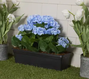 Wicker Park 20" Oversized Indoor/Outdoor Faux Floral Planter Box Wicker Park 20" Oversized Indoor/Outdoor Faux Floral Planter Box