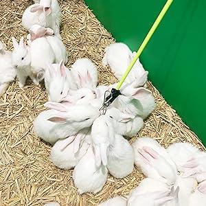 20 Pairs False Eyelashes 3D Faux Mink Lashes Natural Look Wispy Fake Eyelashes ALPHONSE 16-20MM Fluffy Volume Long Thick Lashes Pack 5 Styles Mixed Makeup Cosmetic