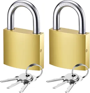 2 Pcs Small Keyed Padlocks, Locker Lock, Locks with Keys 32mm, Gold, Compact, Hardened Alloy, Securing Luggage, Gym Lockers