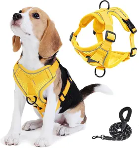 No Pull Dog Harness with Leash Set for Small Sized Dog, Reflective Adjustable No Choke Front Clip Cat Vest Harness with Breathable Mesh, Comfortable Soft Padded Pet Vest, Yellow