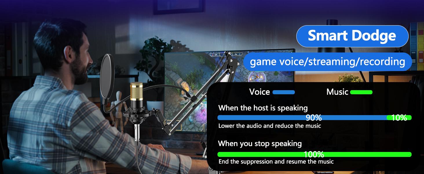 Safring Live Sound Card with DJ Mixer Effects & Voice Changer, F998 Live Sound Card Audio Mixer 16 Special Effects Ambient Sounds, Sound Card for Live Streaming/Gaming/Podcast/Recording/Vocal/Game Voice dynamic mic desk clamp usb rechargeable microphone