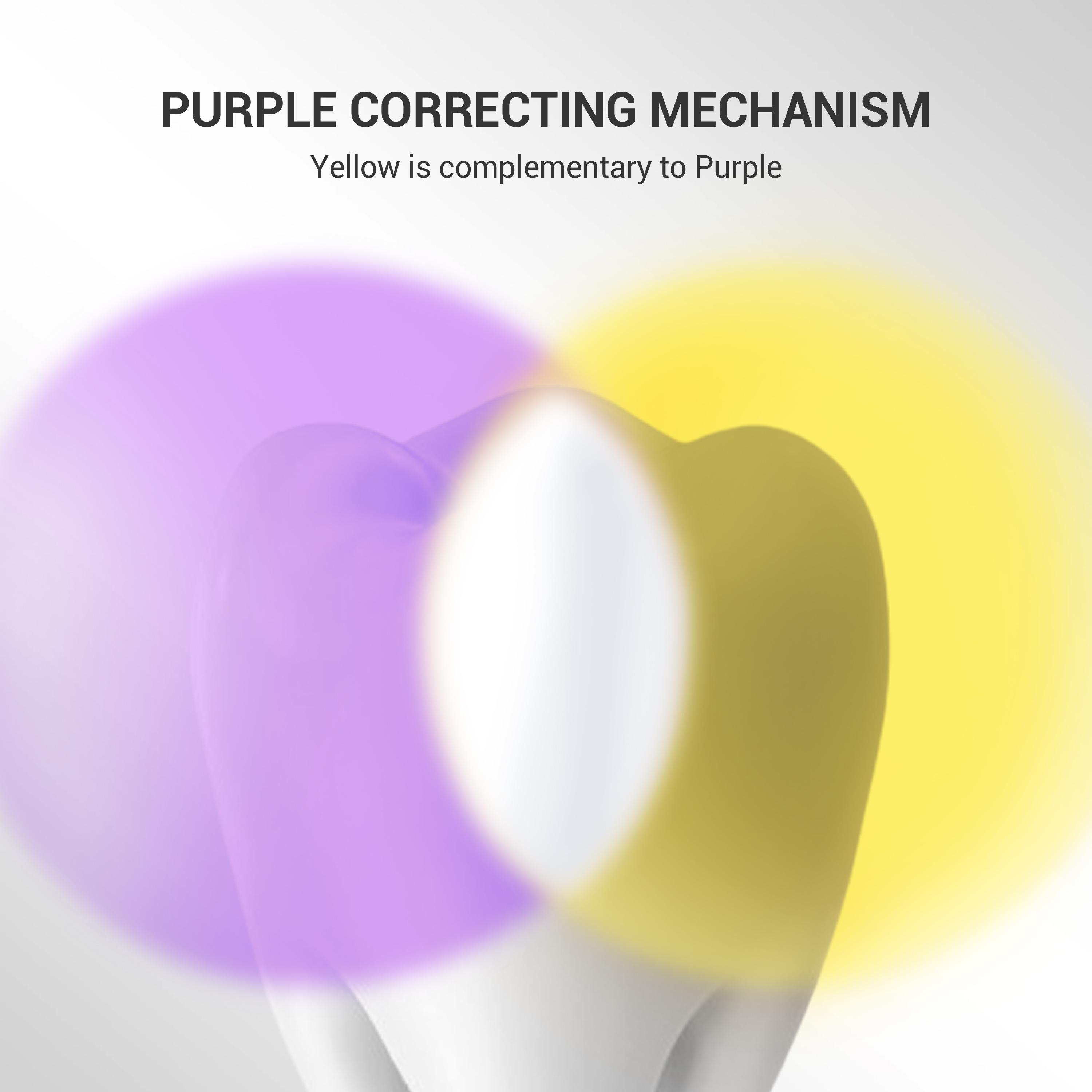 CEELIKE Grape Seed Toothpaste | Multi-Active Formula for a Fresh, Clean Brushing Experience and Daily Oral Care