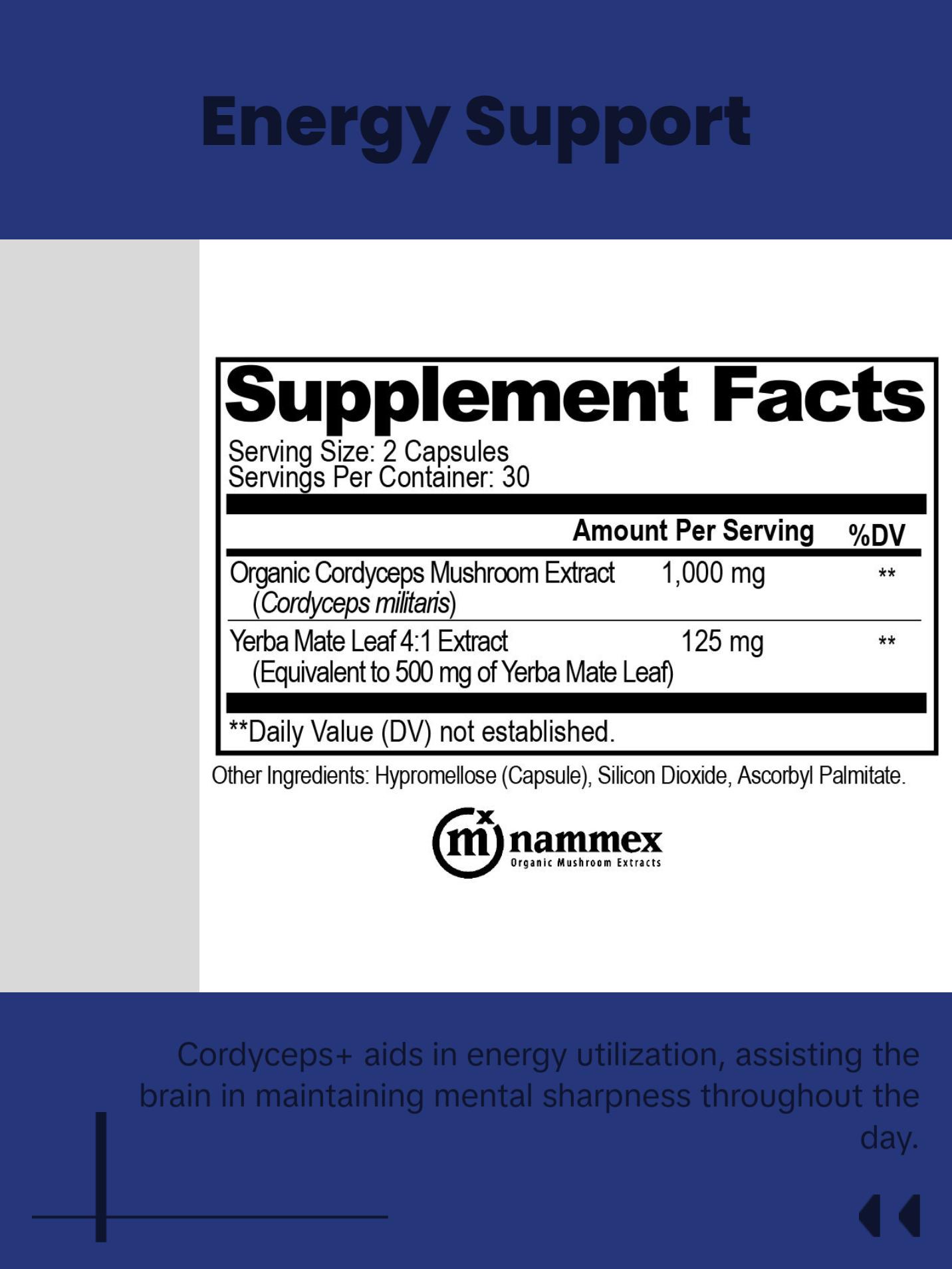 Cordyceps+ The advanced brain energy formula.*