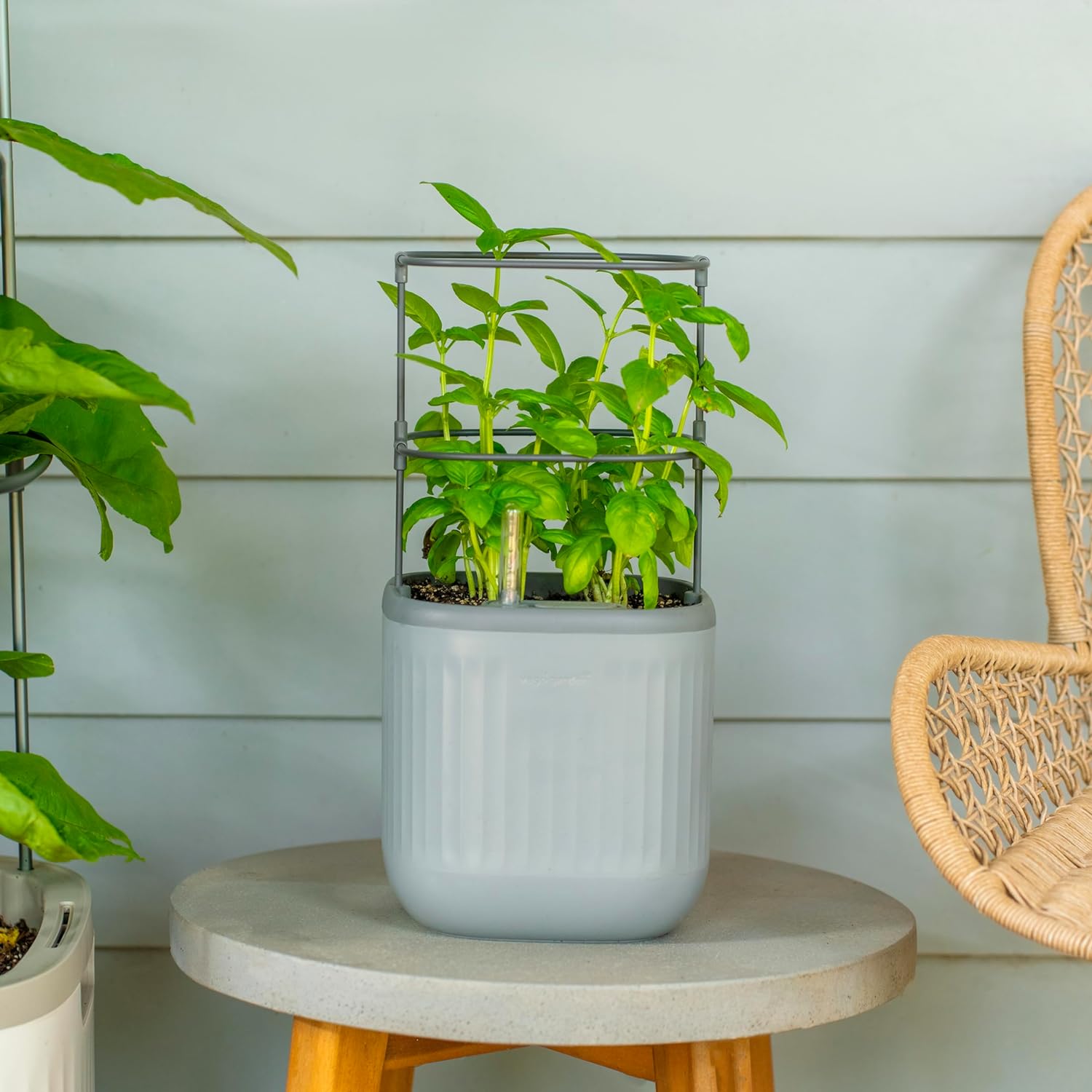 Vego Garden Mini Planter Indoor Pots with Trellis Self-Watering Herb Countertop Planter for Climbing Vegetables Flowers Mint Plants Cage 1.1L Water Storage 15-Day Watering System