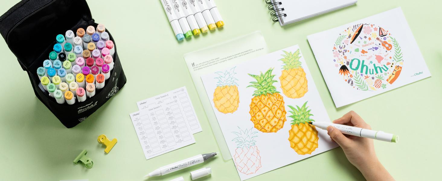 Ohuhu Alcohol Markers: Brush & Fine Dual Tips - 48 Colors - Alcohol-based Art Sketch Marker Set for Artist Adults Coloring Illustration - Refillable - AP Certificated - Honolulu B Series of Ohuhuart
