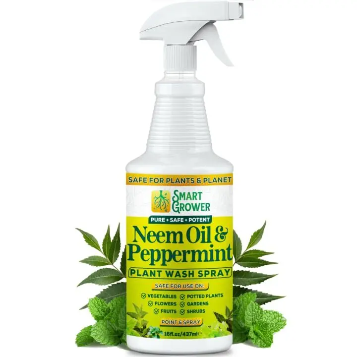 Neem Oil Spray for Plants with Peppermint Oil Natural Plant Wash Made for Indoor and Outdoor Plants Smart Grower 16oz Easy Ready to Use Spray Flowers Environment Gardens Essential Vegetables