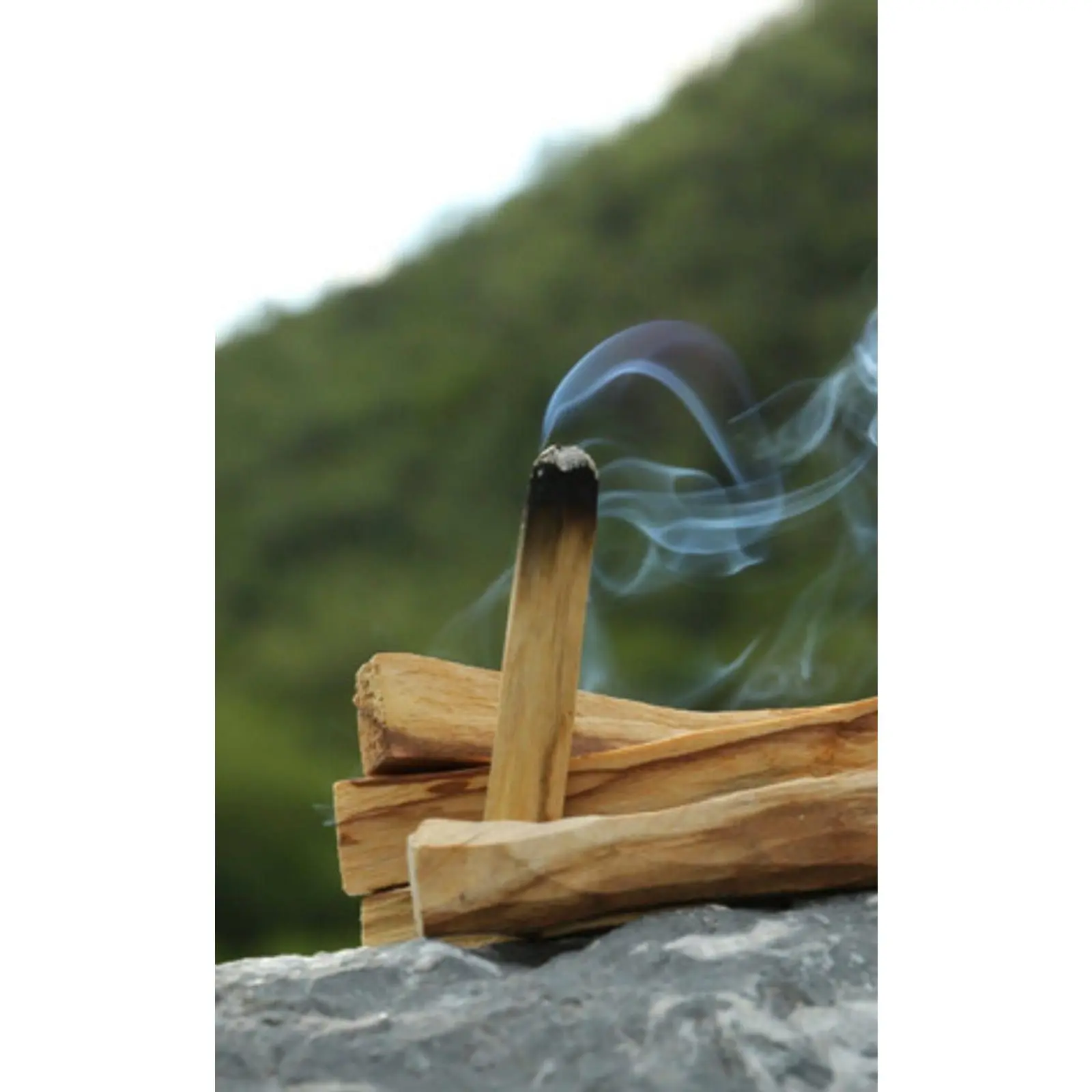 Palo Santo Sticks