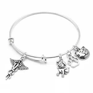 Veterinarian Bracelet – Vet Gift – Silver Expandable Bangle with Caduceus, Dog, Cat & Paw Charms