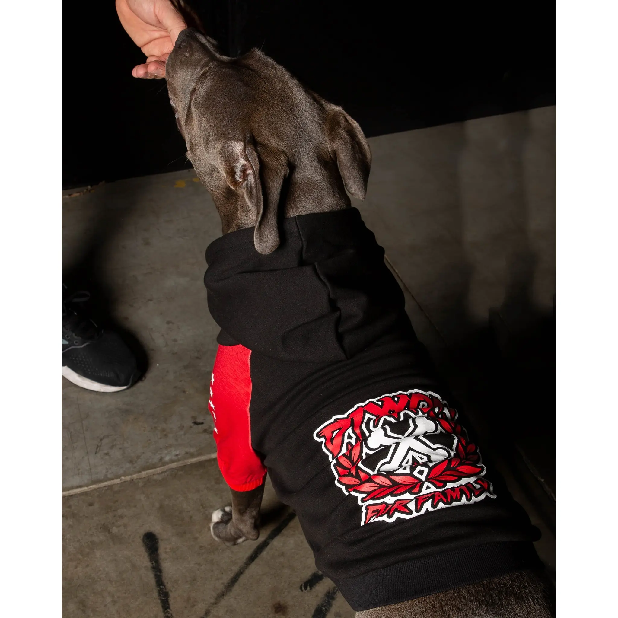 Dog Hoodie - Fur Family - Black & Red