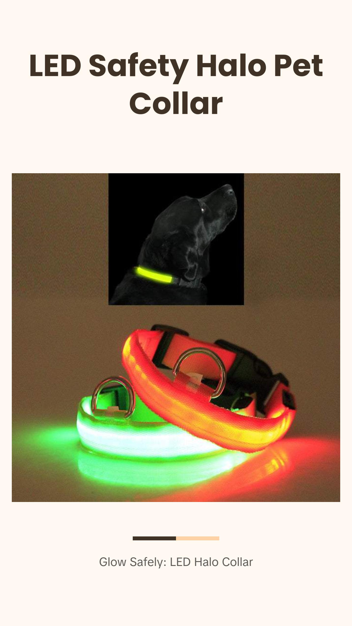 LED PET Safety Halo Style Collar