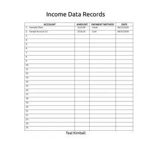 Income Data Records Paperback – April 7, 2025