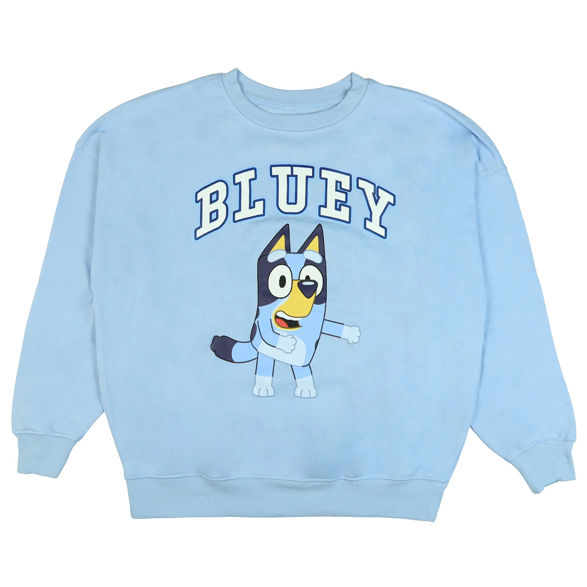 Bluey Men's Block Logo Design Adult Crewneck Pullover Long Sleeve Sweatshirt