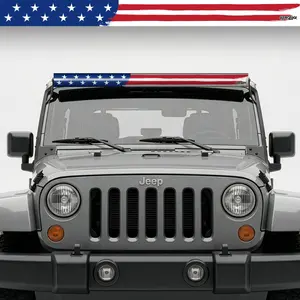 Aerolidz Graphic InsertZ American Flag