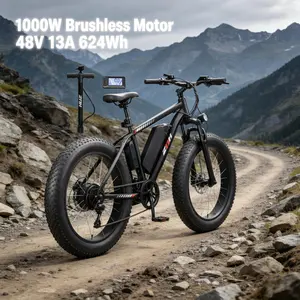 ZNH 750W |   1000w Electric Bike for Adults, 48V 13Ah Removable Battery, 24" x 4.0" Fat Tire E-Bike, Up to 80 Miles, 7-Speed Shimano, Hydraulic Suspension, LCD Display, UL 2849 Mountain Ebike Coil Fork Mtb e bike  e bikes for adults cheapest electric bike