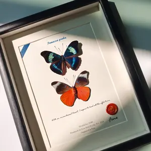 Real Framed Butterfly Duo - Preserved Panacea prola (Red Flasher) - Front & Back View Shadow Box - Handmade Entomology Wall Art & Unique Gift for Home Decor
