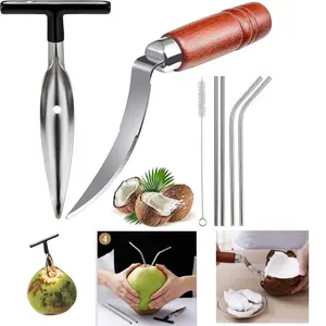 Coconut Opener Tools, Set of Stainless Steel Coconut Puncher with Straws, Brush, Coconut Meat Remover with Wood Handle, For Green & Young Coconut