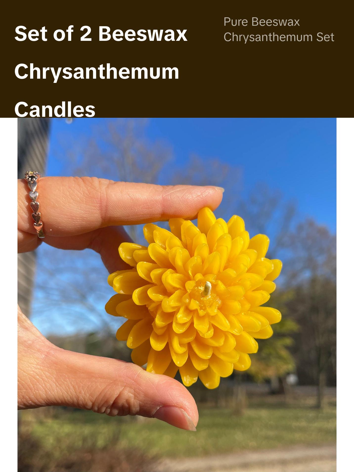Set of 2 chrysanthemum candles - 100% pure beeswax - 2.5”