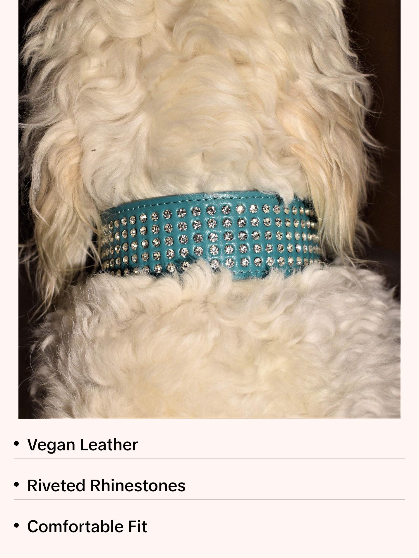Teal Dog Collar