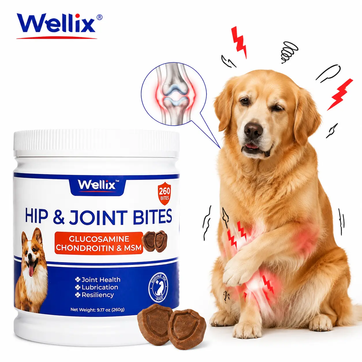 260 Bites Wellix Dog Hip and Joint Supplement Arthritis Pain Relief with Glucosamine Chondroitin MSM Functional Ingredients Joint Care Chews for Senior Dogs Antioxidant Supplements
