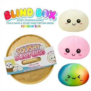 Expressive Big Dumpling Squishy - Blind Box, Mysecret Bun Fidget Toy, Soft TPR Material, Stress Relief, Unboxing Surprise, Random Style per Pack.Valentine's Day and Easter gifts, suitable for children to exchange gifts