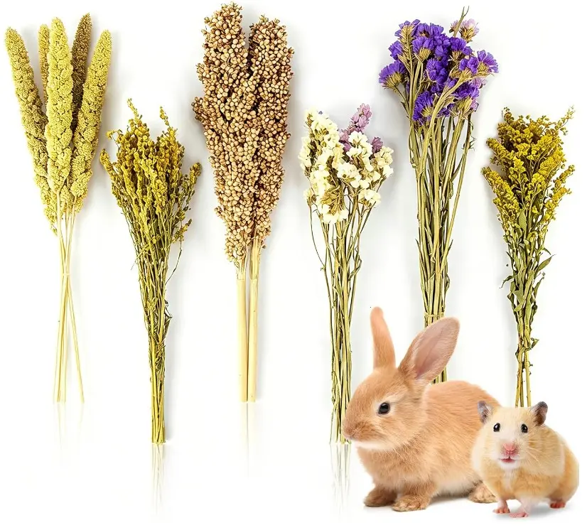 Sukh Natural Hamster Bedding Sprays - Foraging Habitat Decor Cage Accessories, Hideout Enrichment for Dwarf & Syrian Hamsters, Gerbils, Mice and Other Small Animals