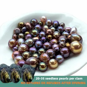 【Bryan】Jelly Bean (20-35 pearls per clam) Freshwater Seedless Pearl Newbie- recommended｜Live Opening 20-35 seedless pearls per clam Non-Refundable NO RETURNS OR REFUNDS AFTER