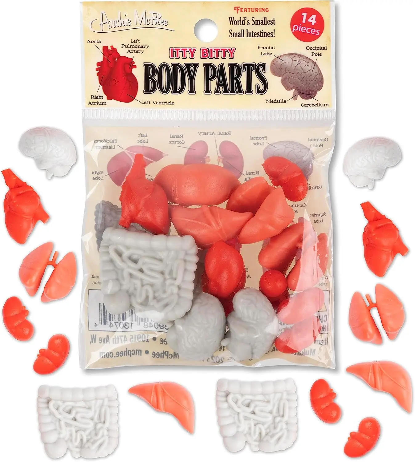 Itty Bitty Body Parts (Bag of 14)  Tiny Figurines Craft Art Gag Gift Toys - Archie McPhee