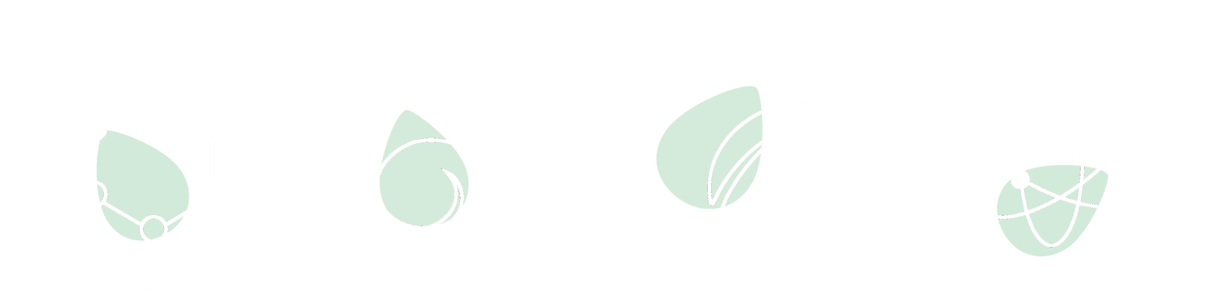 Bisturí Lip Liner: Peach Latte