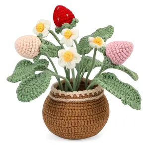 Strawberry Flowers Crochet Kit for Beginners - Crochet Starter Kit,Knitting Kit with Tools and Video Tutorials,DIY Handmade sewing Knitting Supplies Stitch Markers Yarn