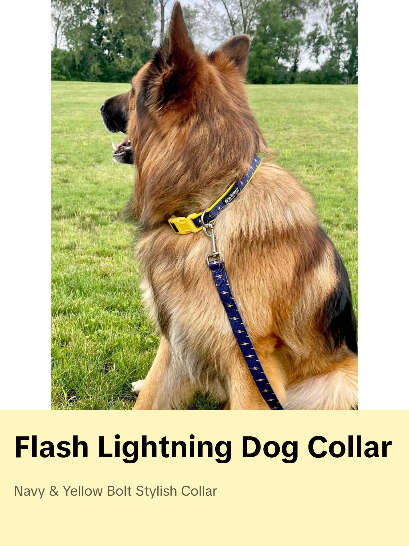 Flash Lightning Navy Blue & Yellow Fashion Dog Collar