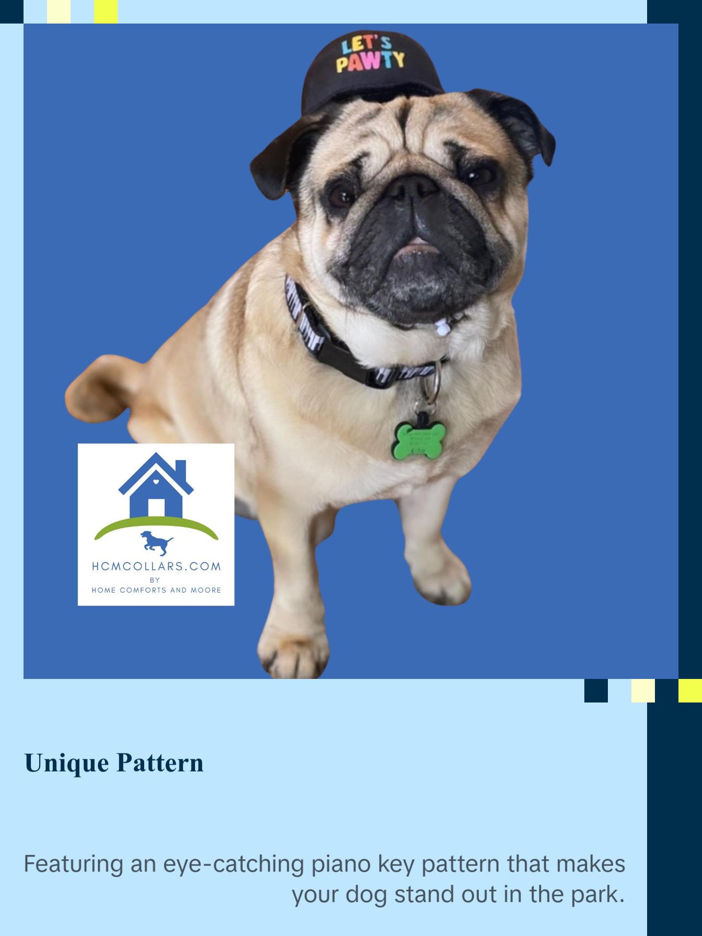 Piano Keys Dog Collar