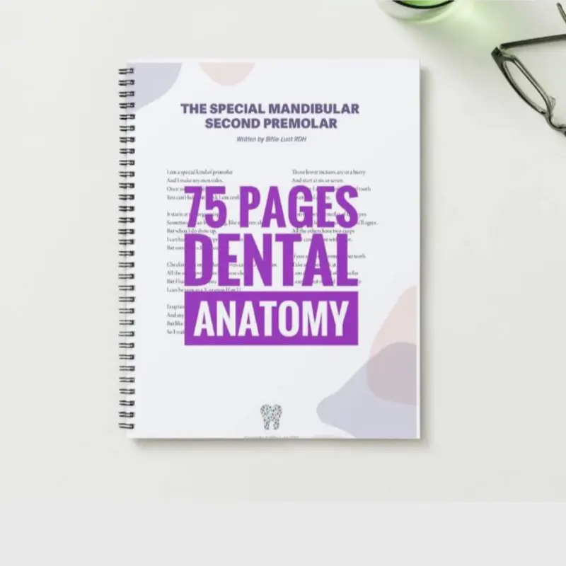 Dental Anatomy Interactive Notebook for Hygiene Students - 75-Page Spiral Bound Textbook, Anatomical Drawing Guide, Essential Key Features, Master Dental Anatomy, Detailed Colored Drawings, All Tooth Types